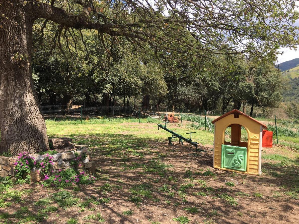 Azienda Agrituristica S'Argalasi - B&B - Affittacamere Loc S'Argalasi Austis Екстер'єр фото