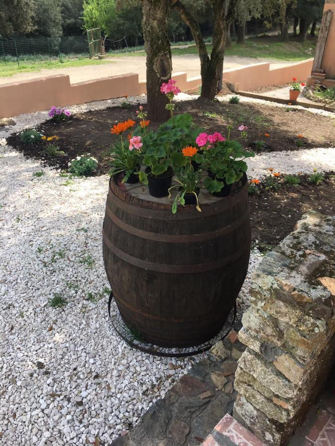 Azienda Agrituristica S'Argalasi - B&B - Affittacamere Loc S'Argalasi Austis Екстер'єр фото