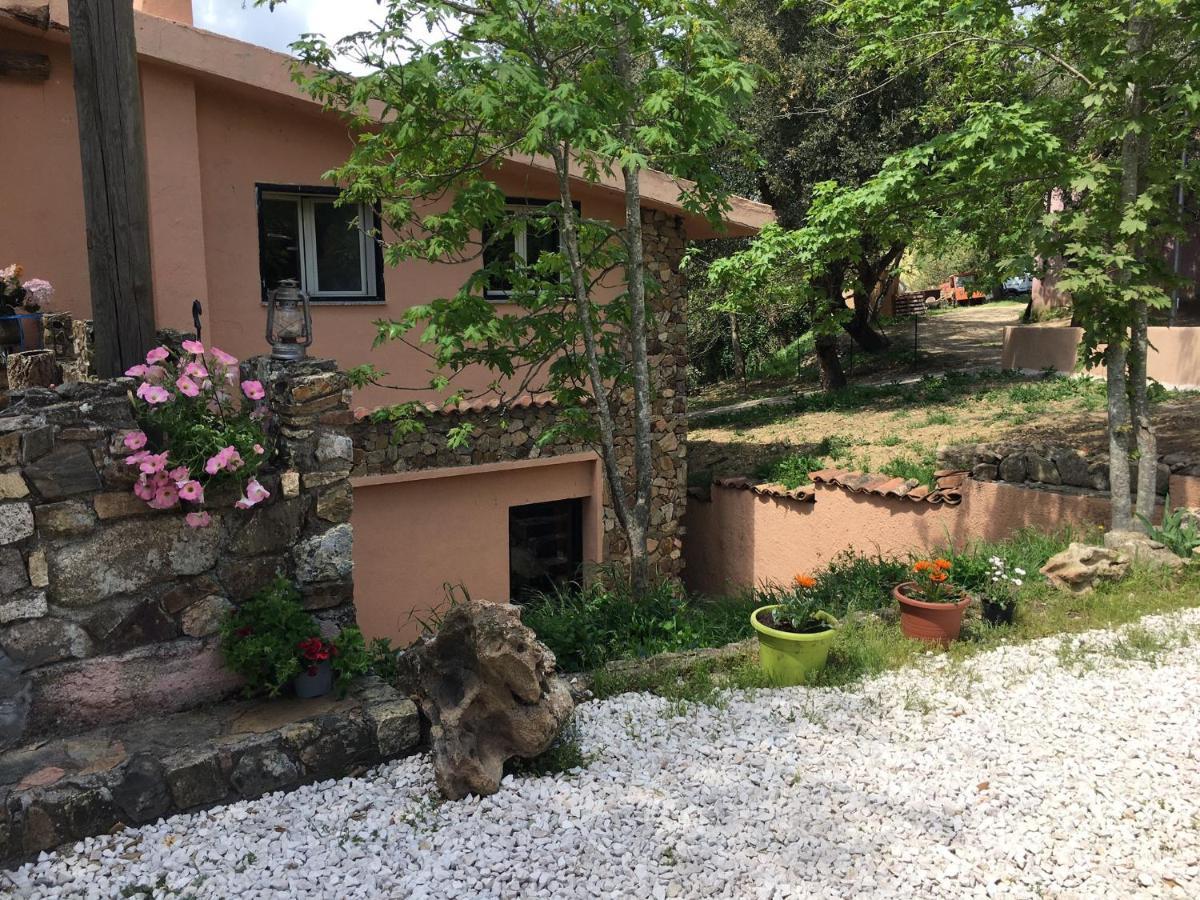 Azienda Agrituristica S'Argalasi - B&B - Affittacamere Loc S'Argalasi Austis Екстер'єр фото