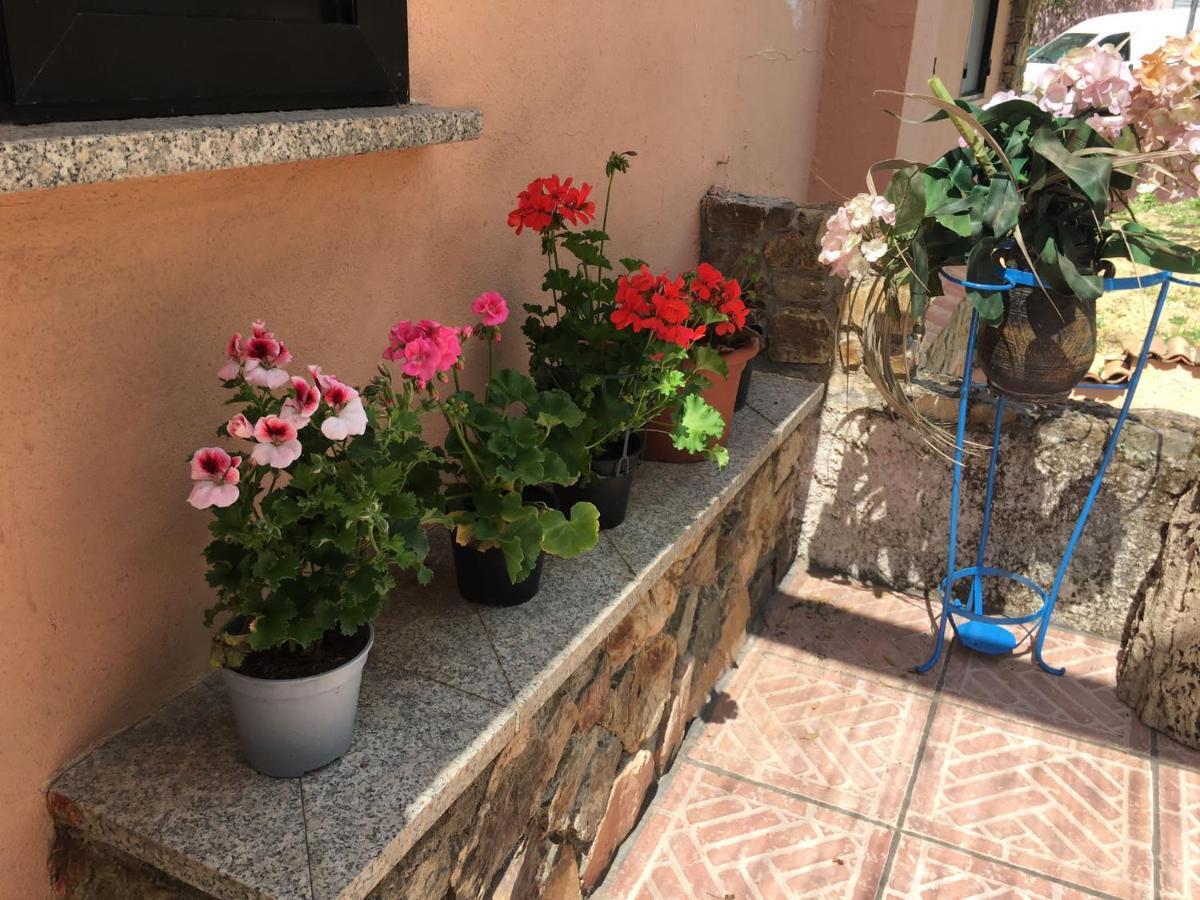 Azienda Agrituristica S'Argalasi - B&B - Affittacamere Loc S'Argalasi Austis Екстер'єр фото