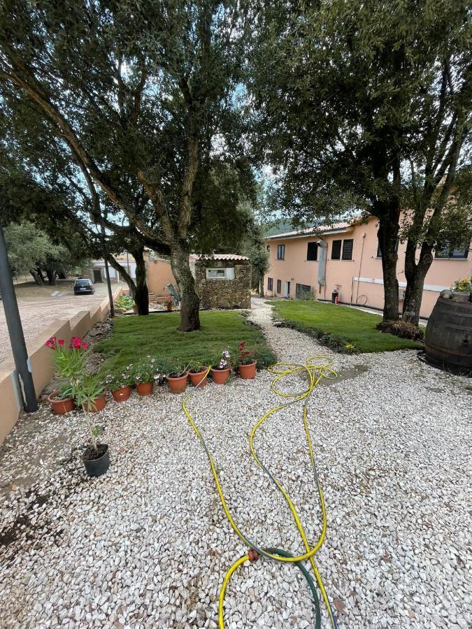 Azienda Agrituristica S'Argalasi - B&B - Affittacamere Loc S'Argalasi Austis Екстер'єр фото